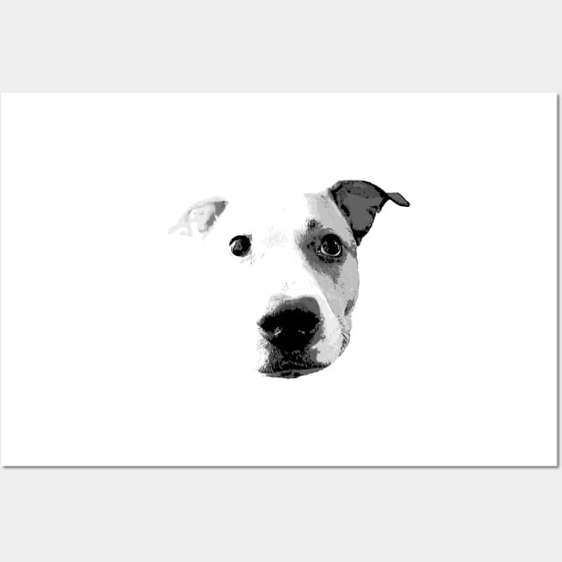 Pitbull Love Shirt Wall Art by Willow Phlox